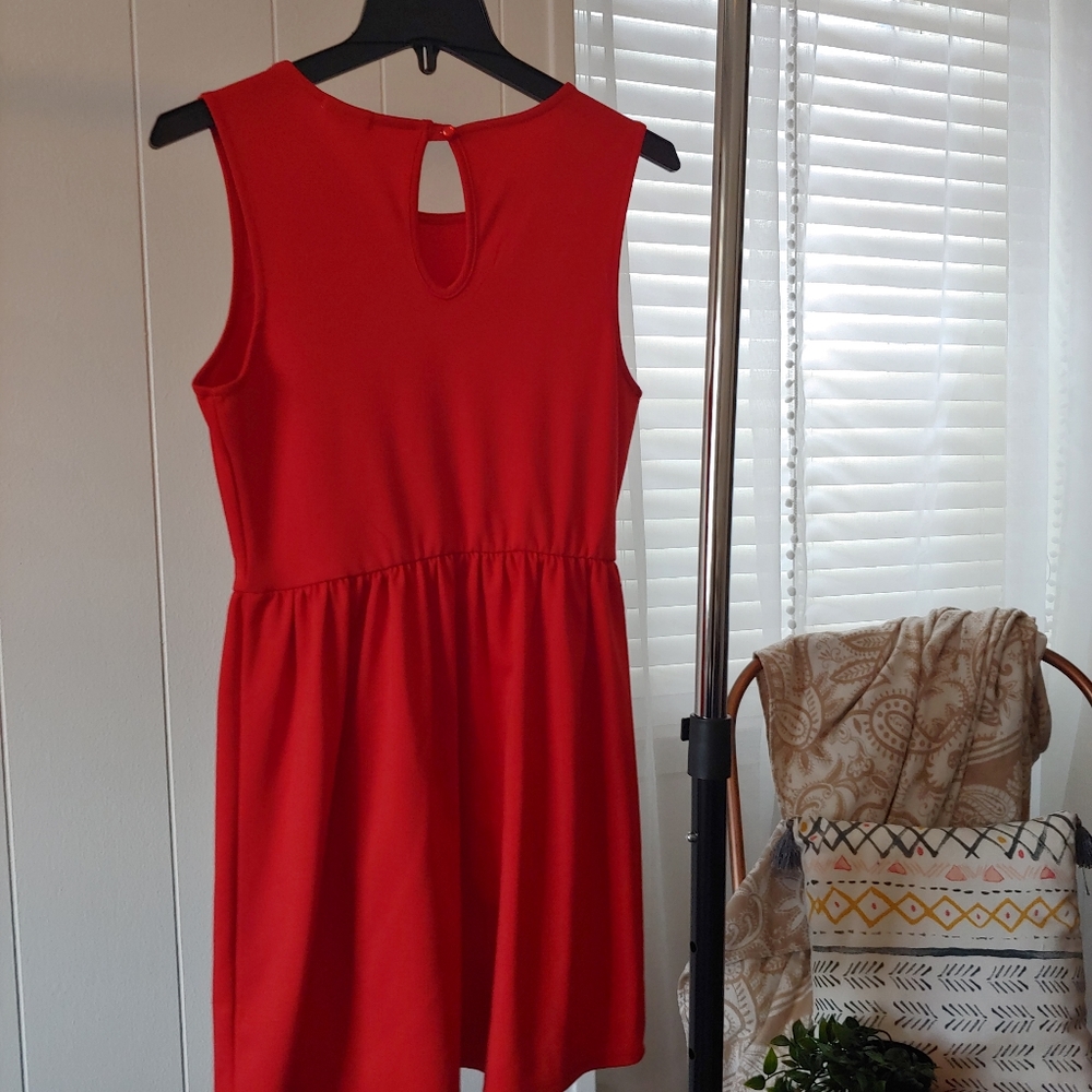 Francesca's Red Dress